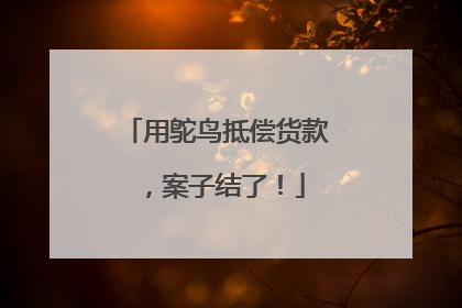 用鸵鸟抵偿货款，案子结了！