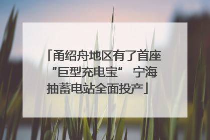 甬绍舟地区有了首座“巨型充电宝” 宁海抽蓄电站全面投产
