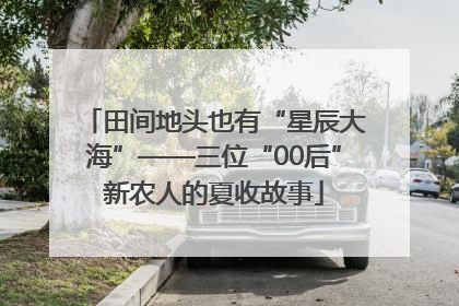 田间地头也有“星辰大海”——三位“00后”新农人的夏收故事