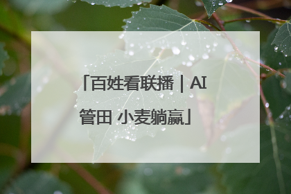 百姓看联播｜AI管田 小麦躺赢