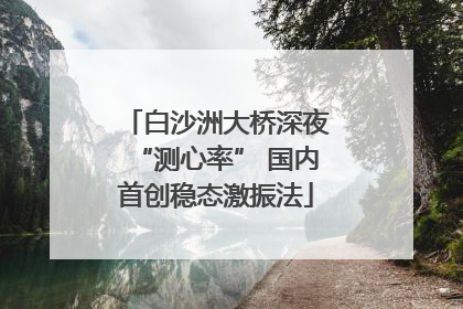 白沙洲大桥深夜“测心率” 国内首创稳态激振法