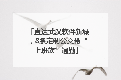 直达武汉软件新城，8条定制公交带“上班族”通勤