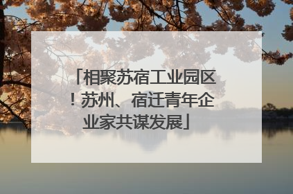 相聚苏宿工业园区！苏州、宿迁青年企业家共谋发展