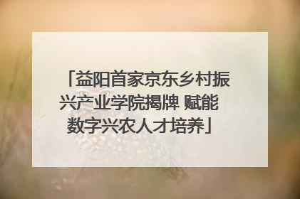 益阳首家京东乡村振兴产业学院揭牌 赋能数字兴农人才培养