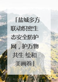 盐城多方联动织密生态安全防护网，护万物共生 绘和美画卷