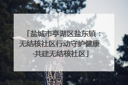 盐城市亭湖区盐东镇：无结核社区行动守护健康 ·共建无结核社区