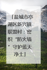 盐城市亭湖区新兴镇联盟村：密织“防火墙”守护蓝天净土