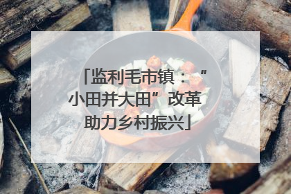 监利毛市镇：“小田并大田”改革 助力乡村振兴