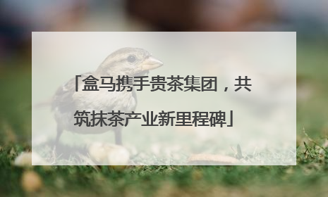 盒马携手贵茶集团，共筑抹茶产业新里程碑