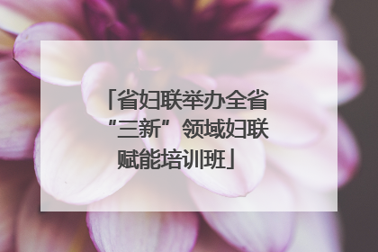 省妇联举办全省“三新”领域妇联赋能培训班