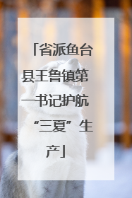 省派鱼台县王鲁镇第一书记护航“三夏”生产