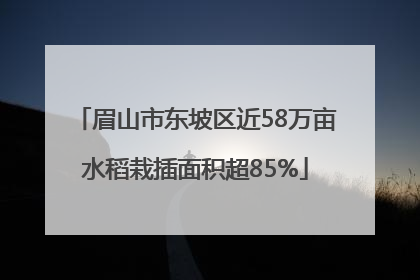 眉山市东坡区近58万亩水稻栽插面积超85%