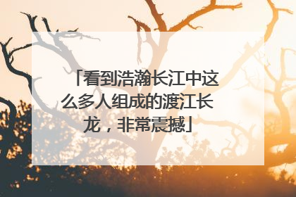 看到浩瀚长江中这么多人组成的渡江长龙，非常震撼
