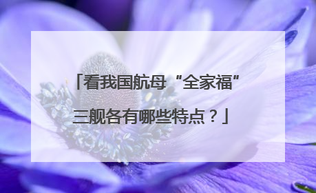 看我国航母“全家福” 三舰各有哪些特点？