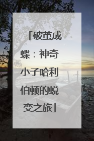 破茧成蝶：神奇小子哈利伯顿的蜕变之旅