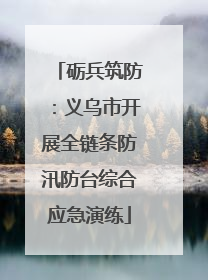 砺兵筑防：义乌市开展全链条防汛防台综合应急演练