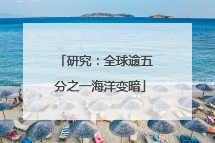 研究：全球逾五分之一海洋变暗