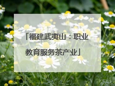 福建武夷山：职业教育服务茶产业