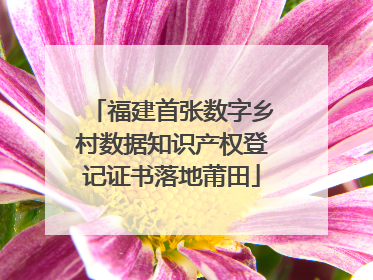 福建首张数字乡村数据知识产权登记证书落地莆田