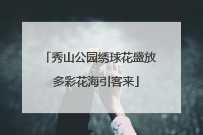 秀山公园绣球花盛放 多彩花海引客来