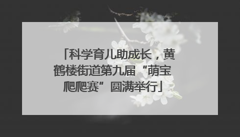 科学育儿助成长，黄鹤楼街道第九届“萌宝爬爬赛”圆满举行