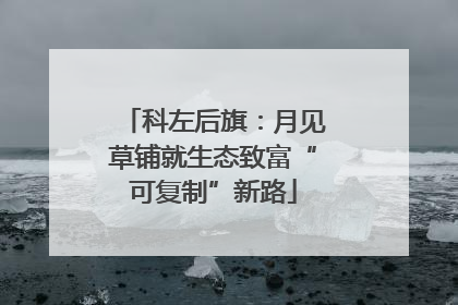 科左后旗：月见草铺就生态致富“可复制”新路