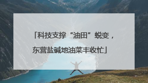 科技支撑“油田”蜕变，东营盐碱地油菜丰收忙