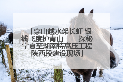 穿山越水架长虹 银线飞度护青山——探秘宁夏至湖南特高压工程陕西段建设现场