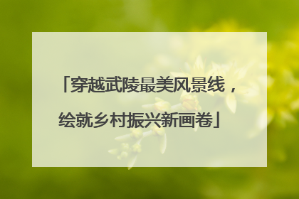 穿越武陵最美风景线，绘就乡村振兴新画卷