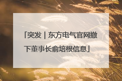 突发｜东方电气官网撤下董事长俞培根信息