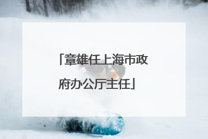 章雄任上海市政府办公厅主任