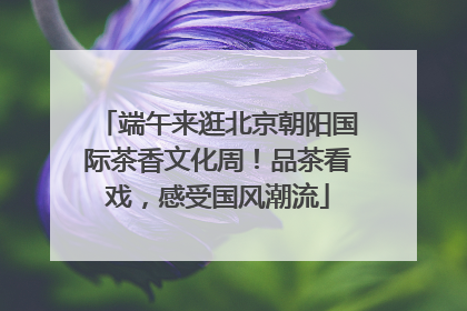 端午来逛北京朝阳国际茶香文化周！品茶看戏，感受国风潮流