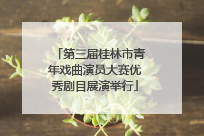 第三届桂林市青年戏曲演员大赛优秀剧目展演举行