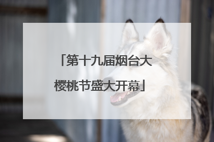第十九届烟台大樱桃节盛大开幕
