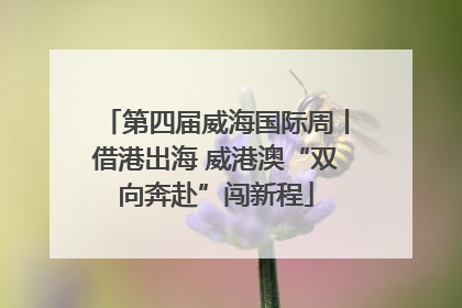 第四届威海国际周丨借港出海 威港澳“双向奔赴”闯新程