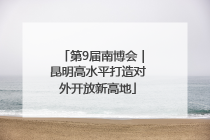 第9届南博会｜昆明高水平打造对外开放新高地