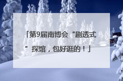第9届南博会“剧透式”探馆，包好逛的！