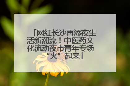 网红长沙再添夜生活新潮流！中医药文化流动夜市青年专场“火”起来