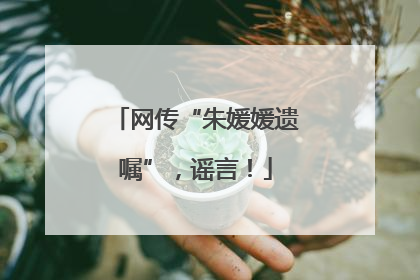 网传“朱媛媛遗嘱”，谣言！