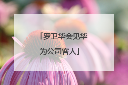 罗卫华会见华为公司客人