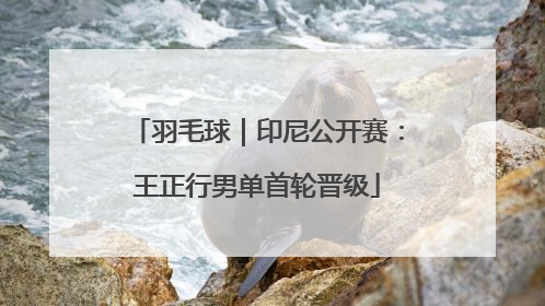 羽毛球｜印尼公开赛：王正行男单首轮晋级