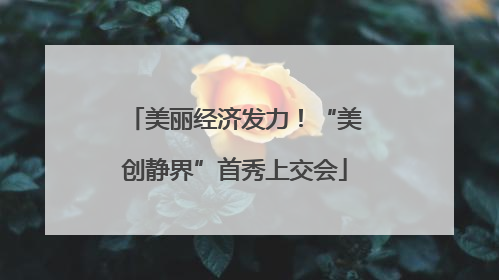 美丽经济发力！“美创静界”首秀上交会