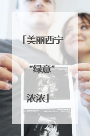 美丽西宁 “绿意”浓浓