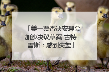 美一票否决安理会加沙决议草案 古特雷斯：感到失望