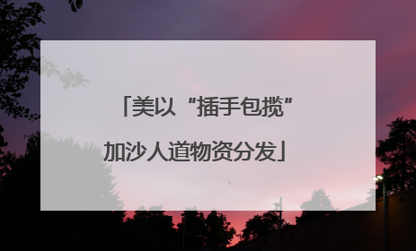 美以“插手包揽”加沙人道物资分发