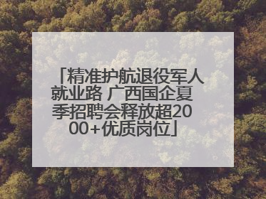 精准护航退役军人就业路 广西国企夏季招聘会释放超2000+优质岗位