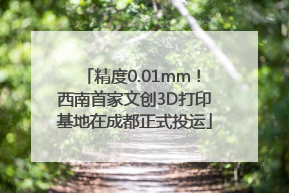 精度0.01mm！西南首家文创3D打印基地在成都正式投运