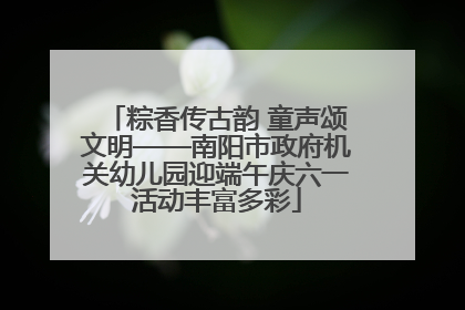 粽香传古韵 童声颂文明——南阳市政府机关幼儿园迎端午庆六一活动丰富多彩