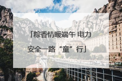 粽香情暖端午 电力安全一路“童”行