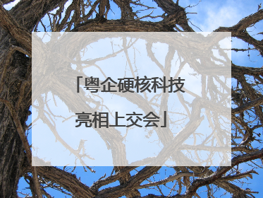 粤企硬核科技亮相上交会